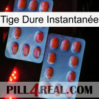 Tige Dure Instantanée 05